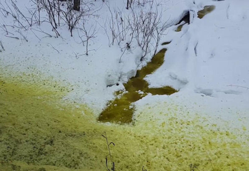 Зеленый снег напугал жителей одного из российских городов