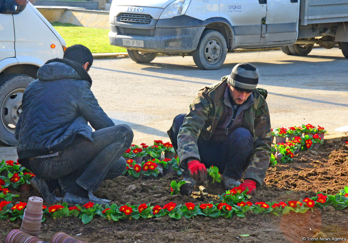 В Баку проводятся подготовительные работы в связи с годовщиной трагедии 20 Января