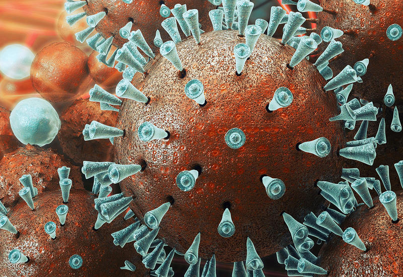 Ученые открыли антитело, способное нейтрализовать коронавирус
