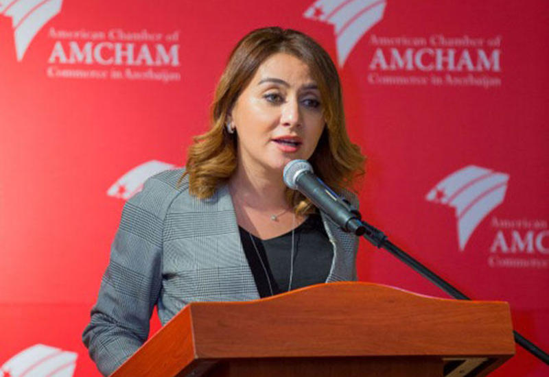 Исполнительный директор AmChaM в Баку ушла с должности