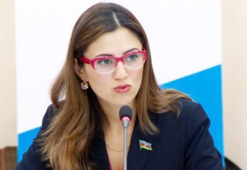 Севиндж Фаталиева: Обсуждения в ПАСЕ по вопросу «политзаключенных» в Азербайджане построены на фальши