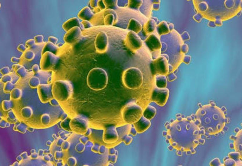 Итальянские ученые смогли изолировать коронавирус