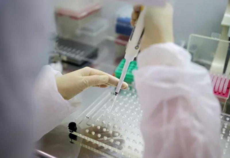 ВОЗ назвала сроки тестирования вакцин против коронавируса на людях