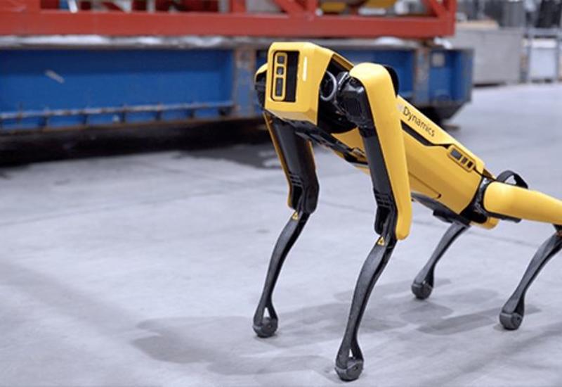 Собака-робот работает на нефтяной вышке в Норвегии