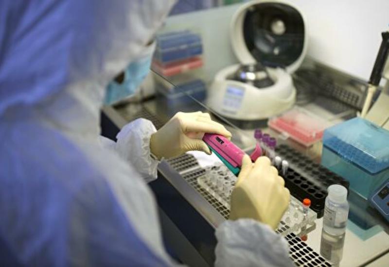 Пять американских фармкомпаний работают над вакциной от коронавируса