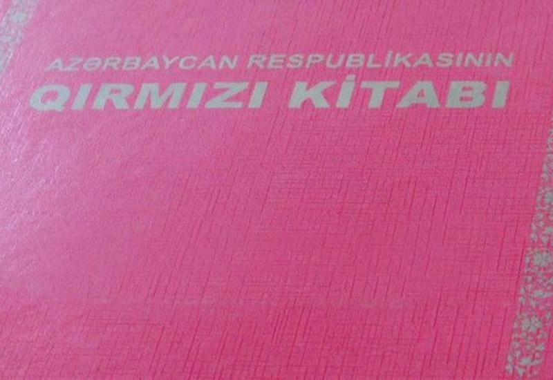 Готовится третье издание «Красной книги» Азербайджана