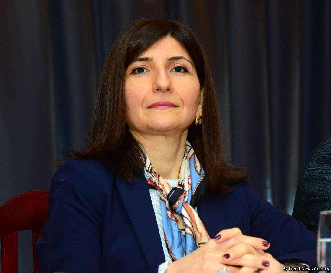 Депутат Севиль Микаилова: Азербайджан играет важную роль в обеспечении региональной безопасности и признан международным сообществом как надежный партнер