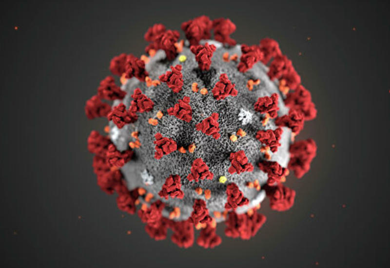 ВОЗ заявила о "потенциальной пандемии" коронавируса