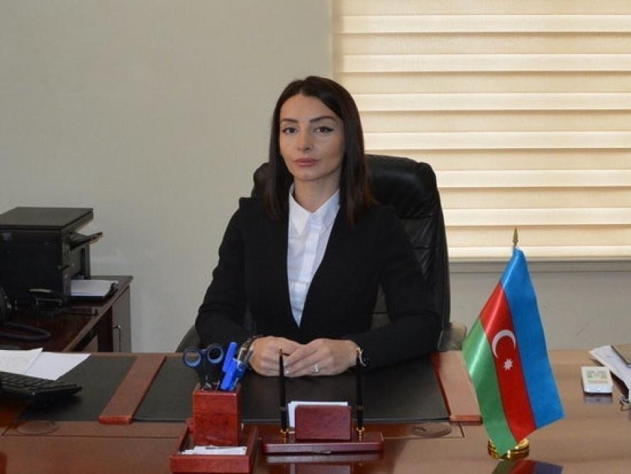 Армения пытается отвлечь внимание международного сообщества лживыми заявлениями