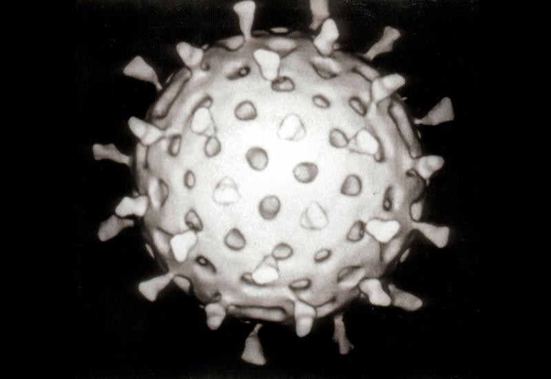 В борьбу с онкологией вступят ослабленные ротавирусы