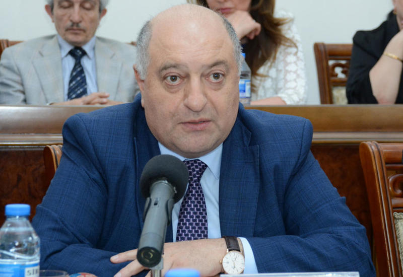 Муса Гулиев: В Азербайджане в рамках борьбы с коронавирусом защищаются интересы бизнеса и трудящихся