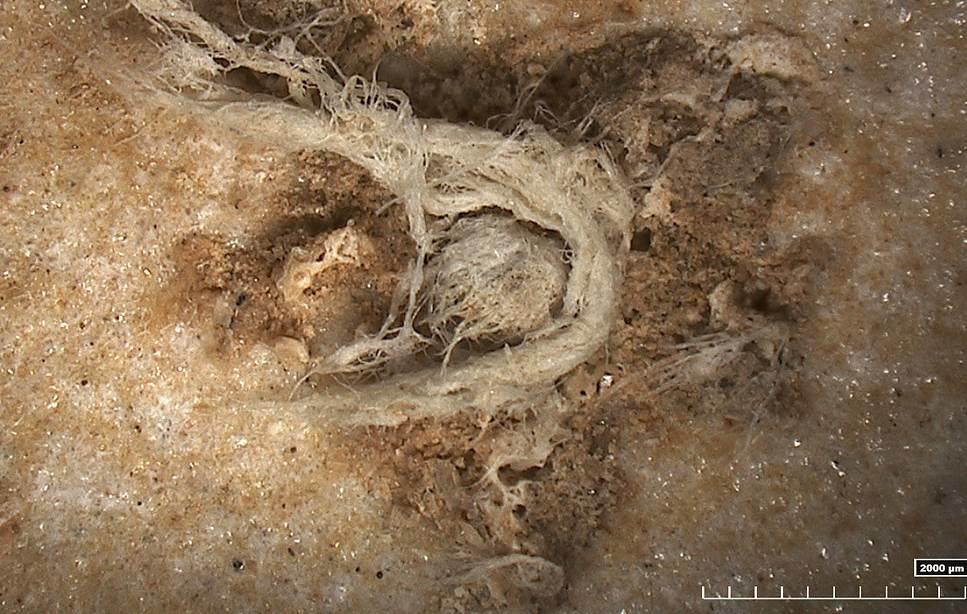 Во французской пещере нашли фрагменты древнейшей веревки на Земле