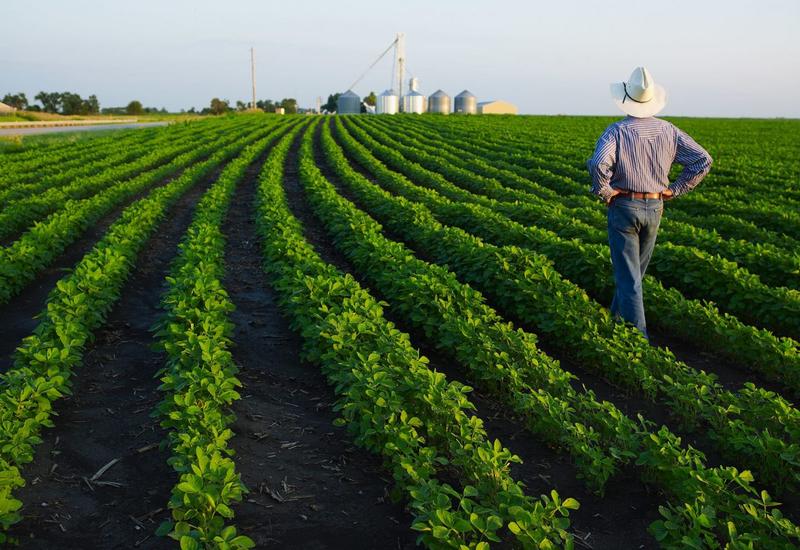Азербайджанские фермеры все больше используют современные системы орошения