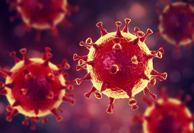 Ученые разработали способ диагностики коронавируса по рентгеновским снимкам