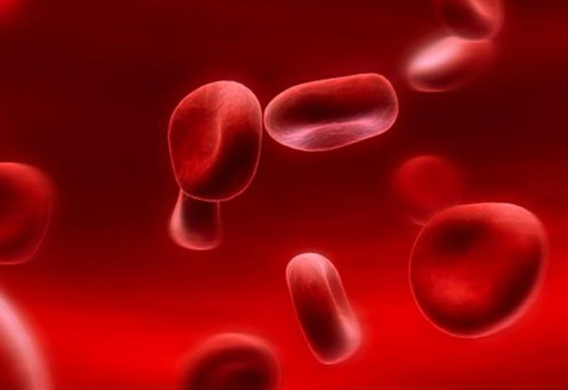 Ученые перечислили продукты, очищающие кровь
