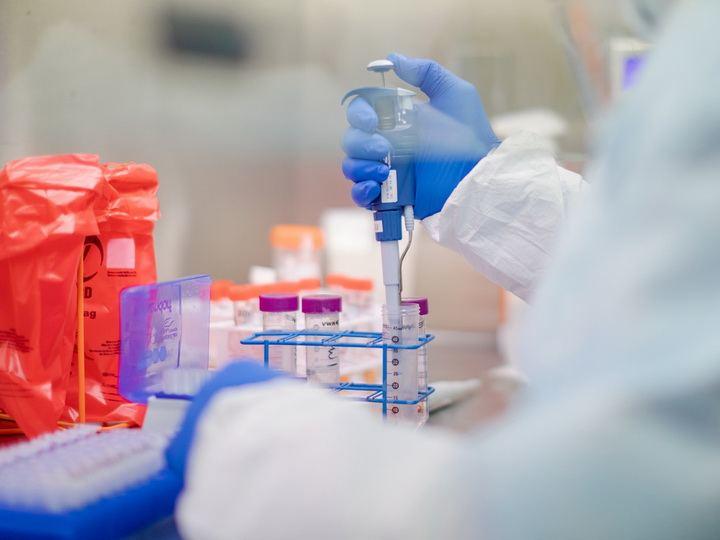 TƏBİB обнародовал количество проведенных тестов на коронавирус