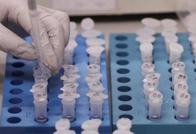 В России провели свыше 4,1 млн тестов на коронавирус
