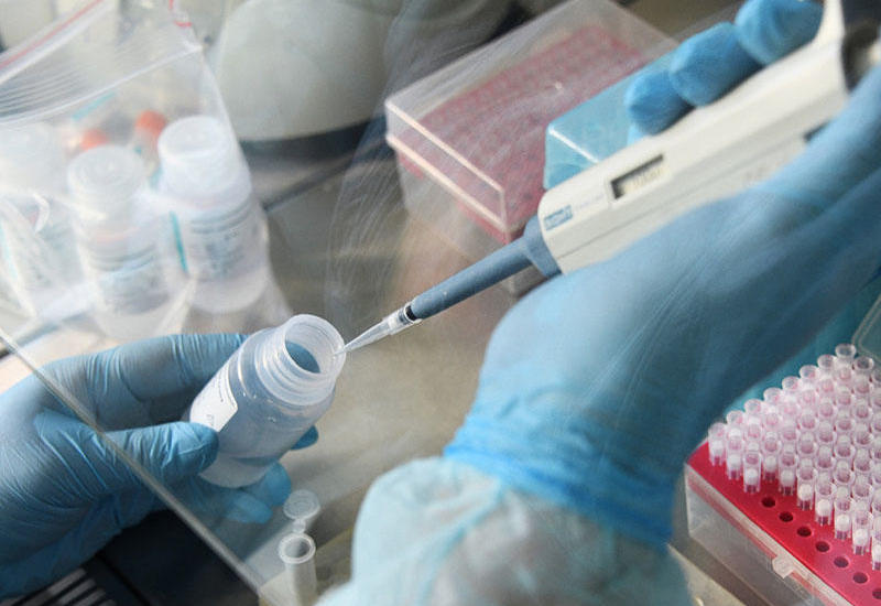 Ученые из России разработали тест на коронавирус