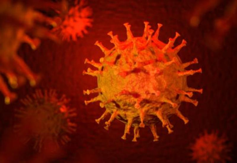 Названы симптомы коронавируса, при которых необходима госпитализация