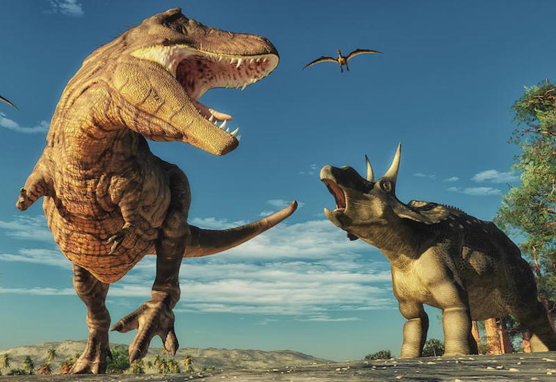 Опровергнут популярный миф о динозаврах