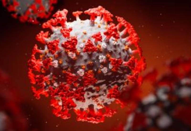 Японский телеканал показал скорость распространения коронавируса от человека к человеку
