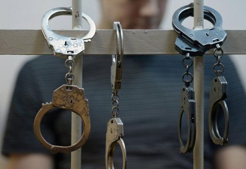 Задержаны организаторы собачьих боев в Азербайджане