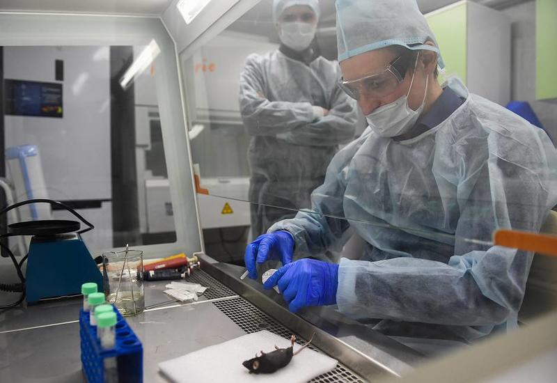 В России стартуют испытания вакцины от коронавируса