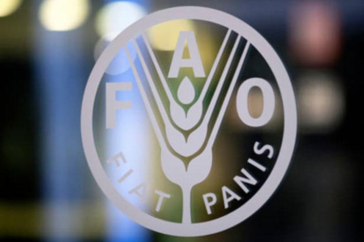 ФАО желает продления зерновой сделки