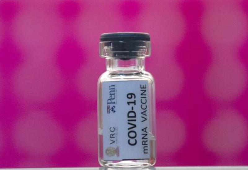Поиски вакцины от COVID-19: новый саммит