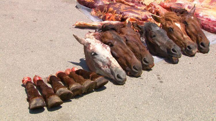 В Азербайджане задержана группировка, пытавшаяся продать 4 тонны конины под видом говядины