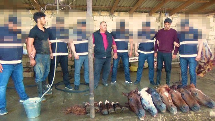 В Азербайджане задержана группировка, пытавшаяся продать 4 тонны конины под видом говядины