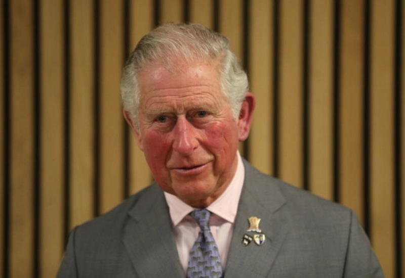 Принц Чарльз рассказал, как пережил коронавирус и самоизоляцию