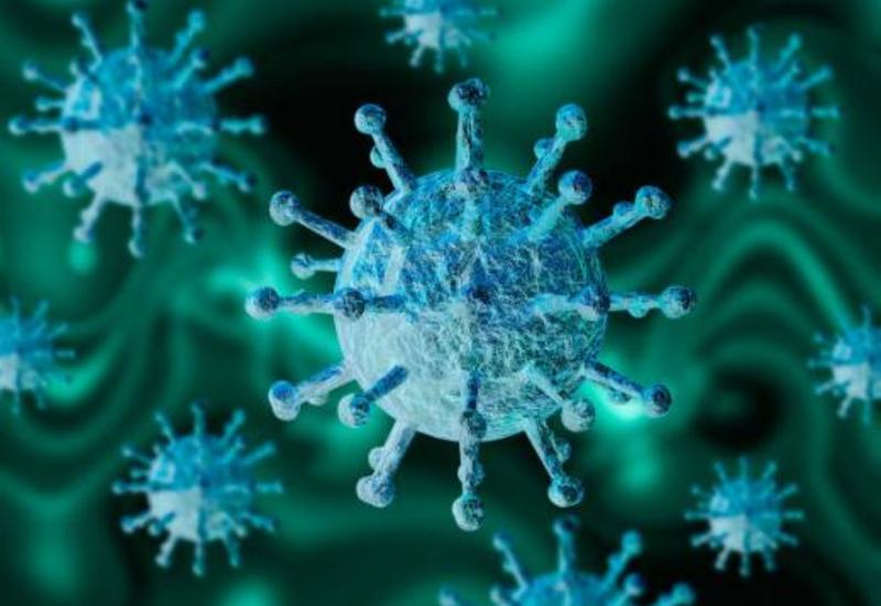Ученые из Сингапура предупреждают о появлении нового коронавируса в ближайшее десятилетие