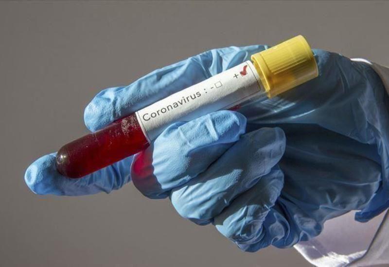 Число инфицированных коронавирусом в Грузии достигло 958