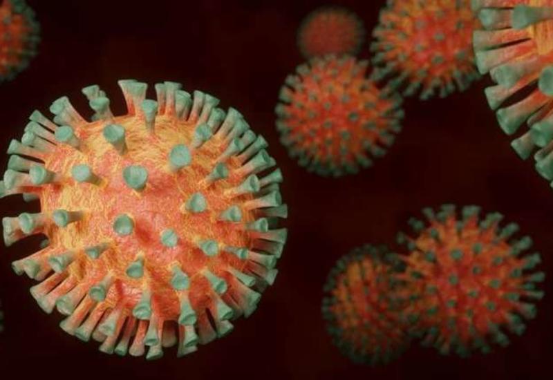 Доктор Мясников сделал прогноз о второй волне коронавируса