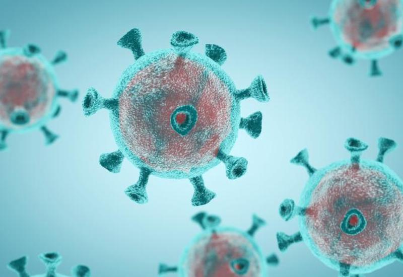 Предсказано будущее пандемии коронавируса