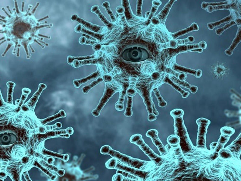 Коронавирус стал предвестником более страшной эпидемии
