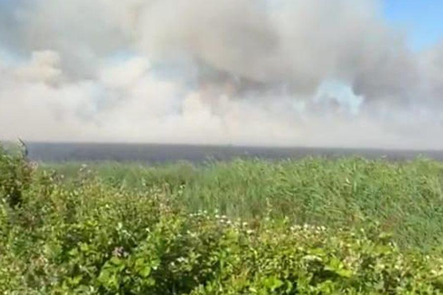Пожар в Национальном парке Гызылагадж потушен