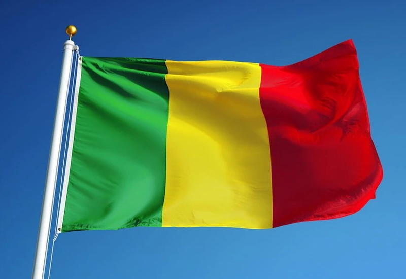 В Мали создадут новое правительство