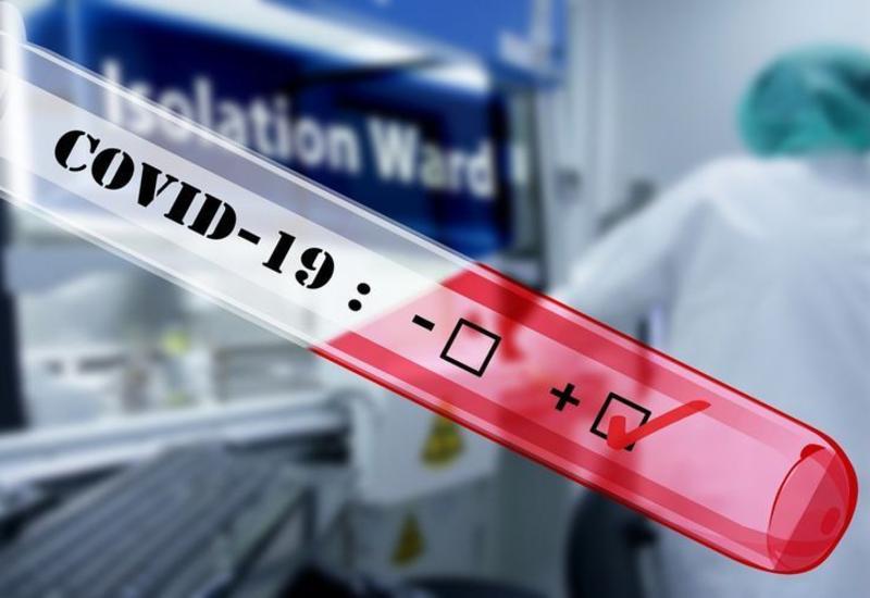Агентство: Произошла ошибка в отправке сообщений гражданам результатов тестов на коронавирус 25 и 26 июля