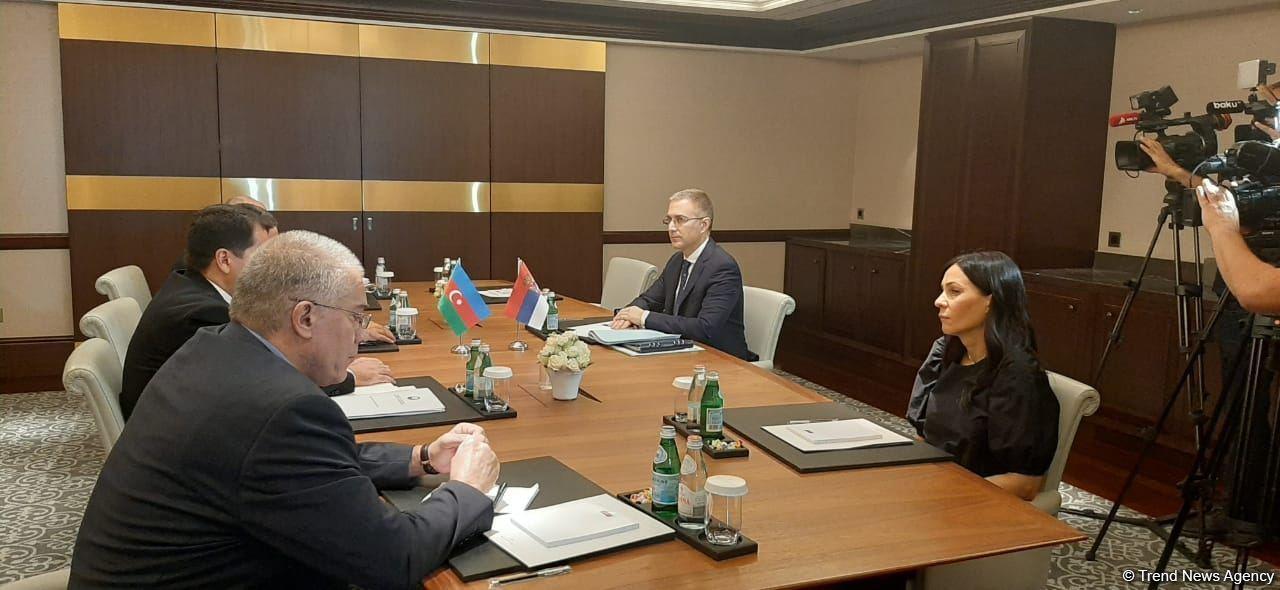 Состоялась встреча между вице-премьером Сербии и азербайджанской делегацией