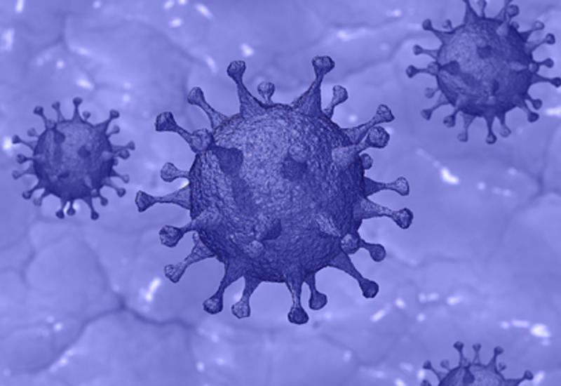 Раскрыта причина опасной формы коронавируса