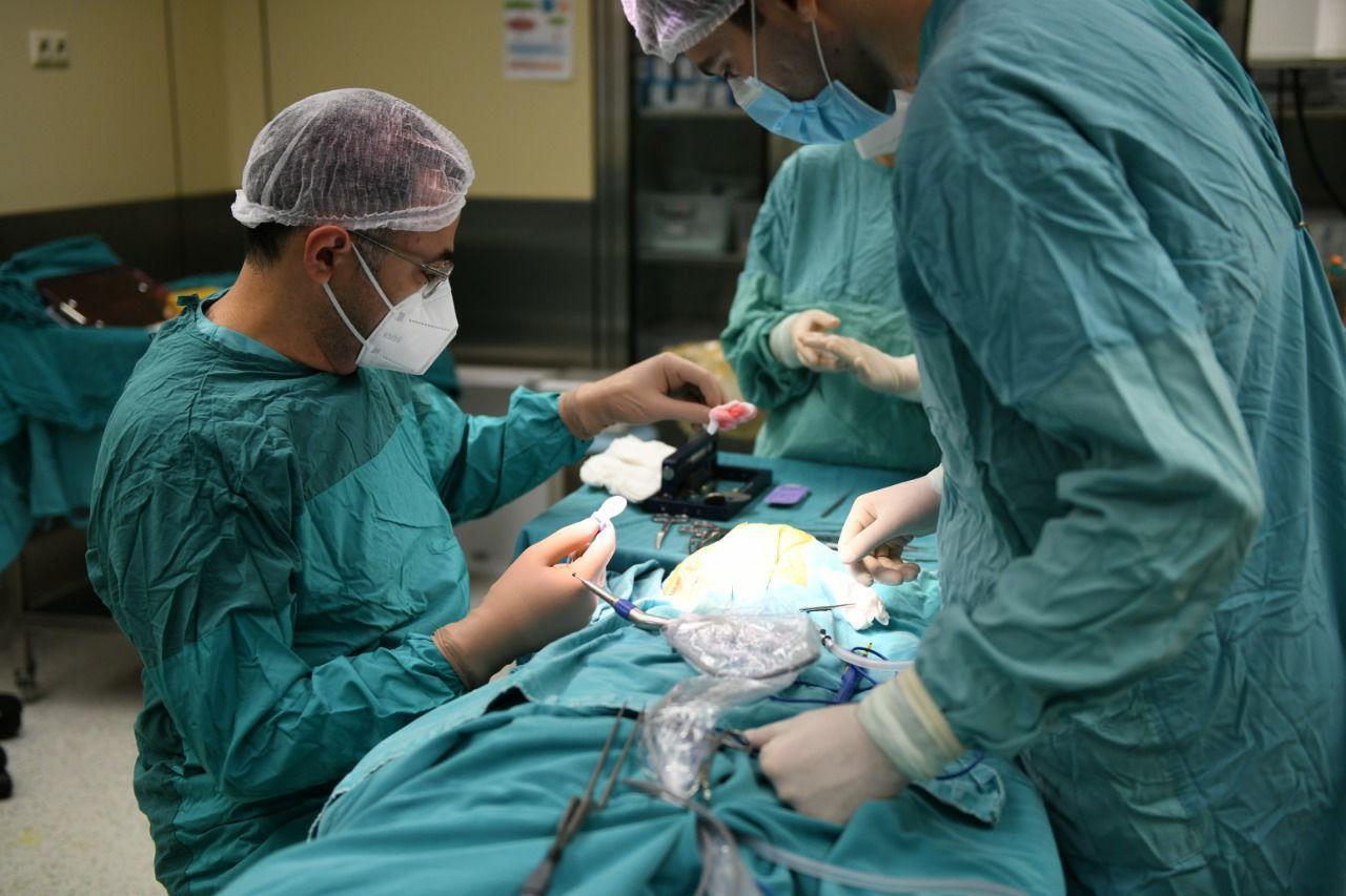 При поддержке Фонда Гейдара Алиева началось проведение операций по кохлеарной имплантации группе лиц с нарушениями слуха