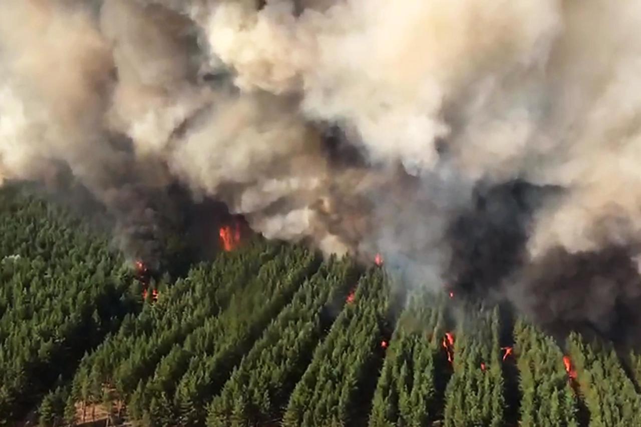 Россия борется с лесными пожарами