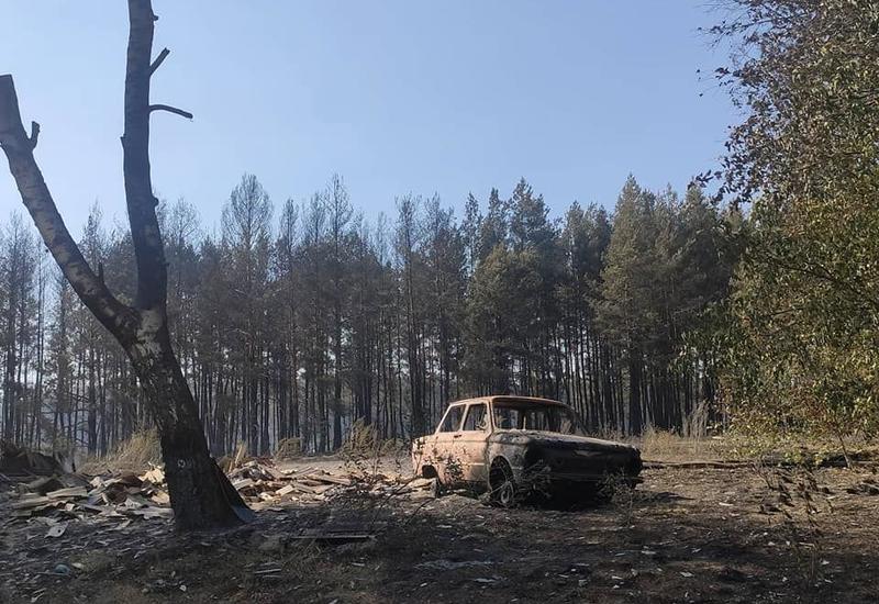 В Украине пожар уничтожил село