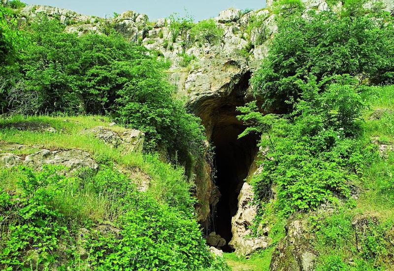 Археологические находки из Азыхской пещеры доставлены в Баку