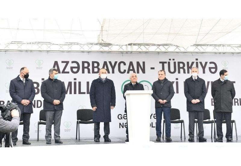 Премьер-министр Азербайджана принял участие в международной акции по посадке деревьев