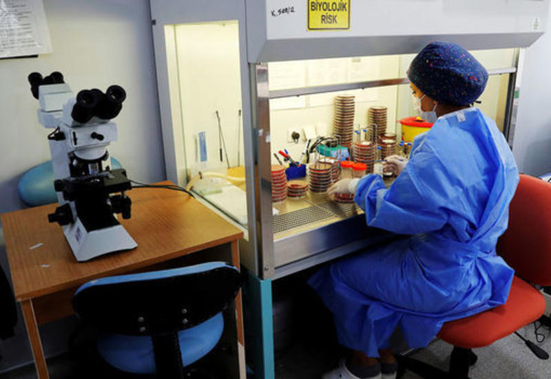 Биолог предупредила о двух опасных чертах мутировавшего коронавируса