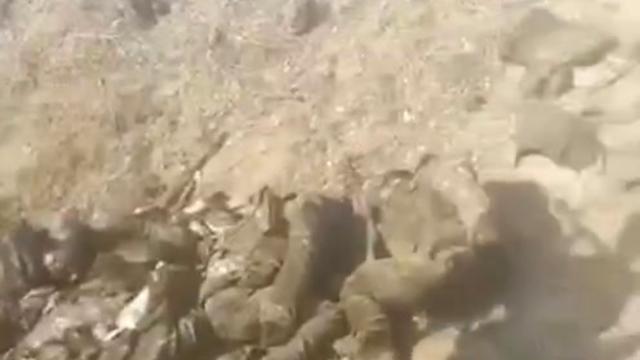 Кадры уничтожения армянских сепаратистов в Джебраиле