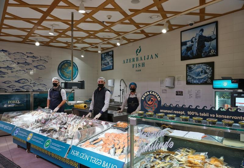 Azerbaijan Fish Farm - крупнейший инвестор рыбной отрасли Азербайджана, чьи проекты направлены на создание новых рыбоводных хозяйств и восстановление биоразнообразия Каспийского моря